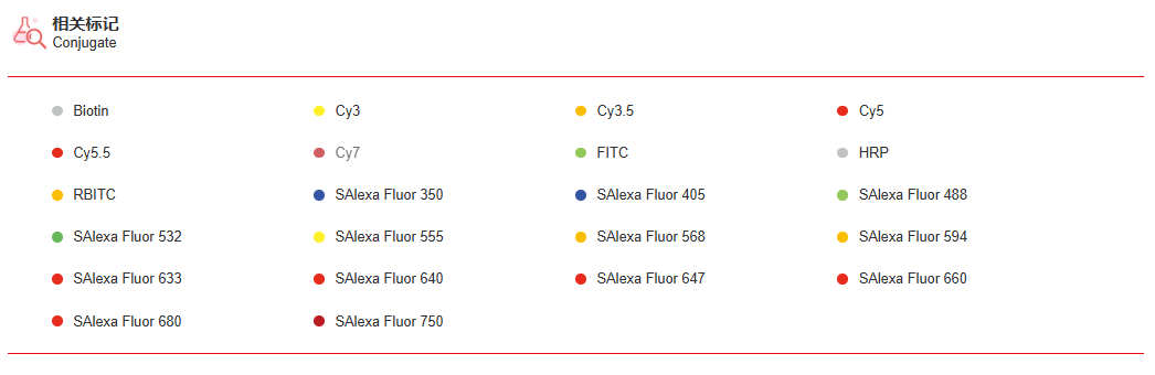 K115482P Anti-KIR3DS1 Polyclon