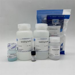 HIS标签蛋白纯化试剂盒（货号：H1032）