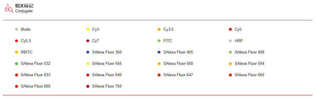 K115369P Anti-HYI Polyclonal A