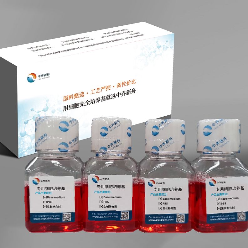 人高转移肺癌细胞