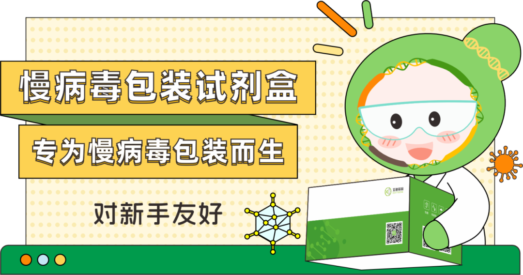 新品发布| 艾迪基因慢病毒包装试剂盒全新上线!高滴度高效率,自主操作无忧下游实验!