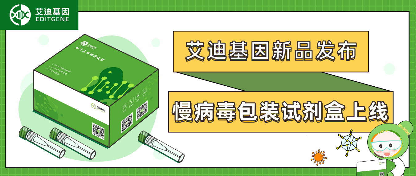 新品发布| 艾迪基因慢病毒包装试剂盒全新上线!高滴度高效率,自主操作无忧下游实验!