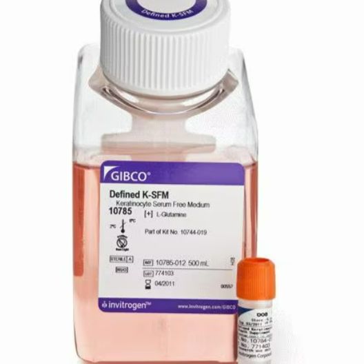 成分确定的角质形成细胞 SFM (1X)10744019 =10784015+10785012