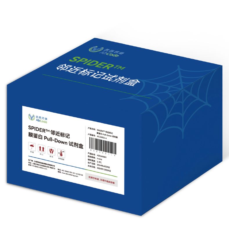 SPIDER邻近标记 | 膜蛋白Pull Down试剂盒