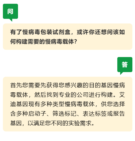 新品发布| 艾迪基因慢病毒包装试剂盒全新上线!高滴度高效率,自主操作无忧下游实验!
