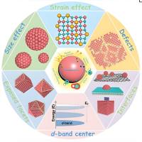 负载CpG寡核苷酸的聚多巴胺（PDA）-聚乙烯亚胺（PEI）纳米粒被血管生成素-2（ANG-2）修饰的细菌膜包裹