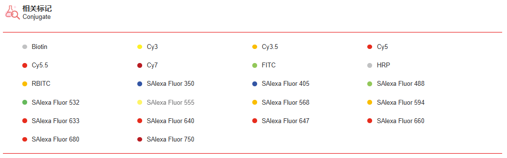 K115355P Anti-ALDH3A2 Polyclon