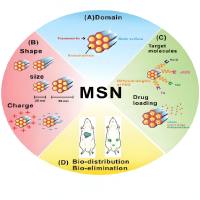 负载阿霉素（DOX）的包膜型介孔二氧化硅纳米粒被透明质酸酶-基质金属蛋白酶-2（MMP-2）修饰