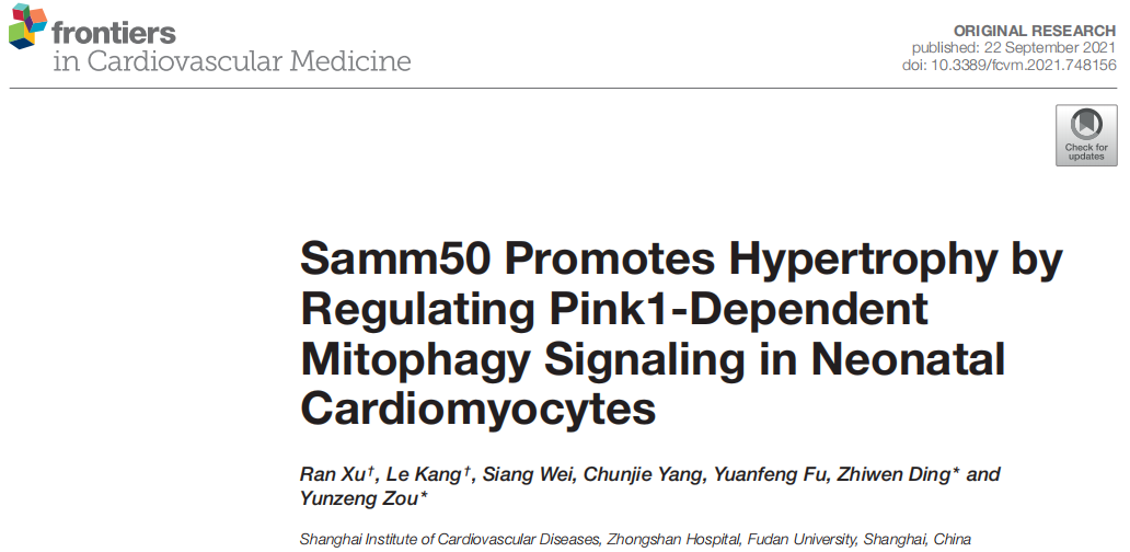 复百澳生物助力，复旦大学附属中山医院邹云增教授团队：发现Samm50通过调节心肌细胞线粒体自噬介导心肌肥大