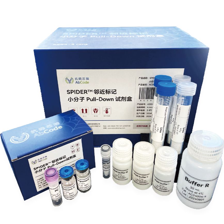 SPIDER邻近标记 | 小分子Pull Down试剂盒