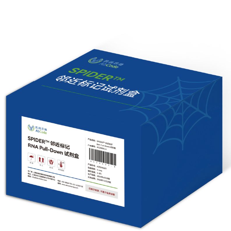 SPIDER邻近标记 | RNA Pull Down试剂盒