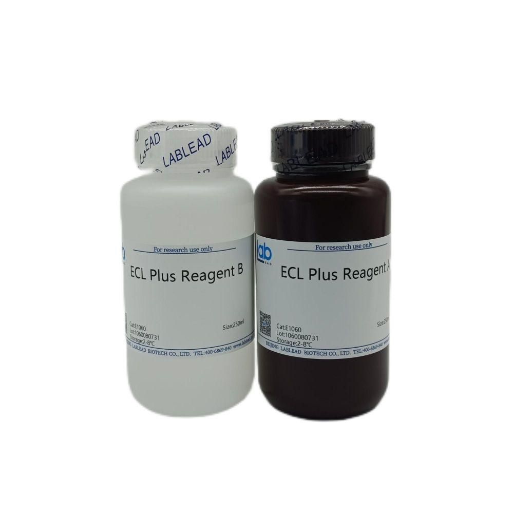 ECL超敏发光液