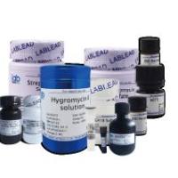 PE Goat Anti-mouse IgG (H+L)(PE标记 羊抗小鼠二抗)