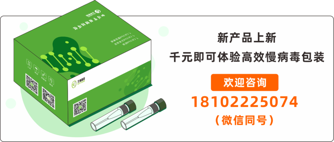 新品发布| 艾迪基因慢病毒包装试剂盒全新上线!高滴度高效率,自主操作无忧下游实验!