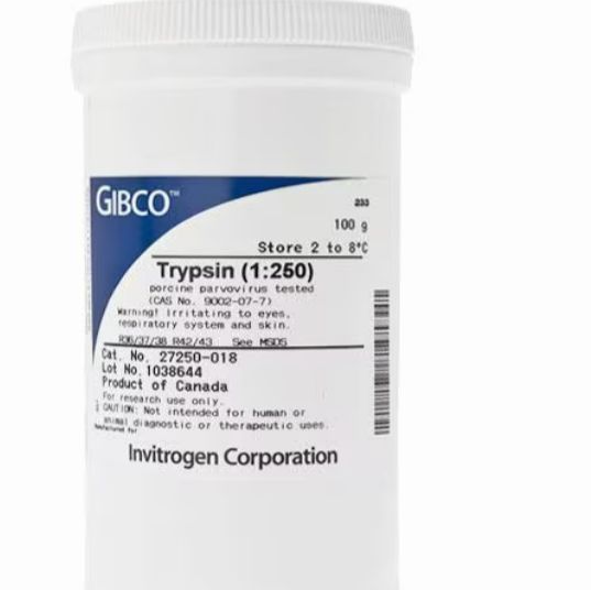 胰蛋白酶 (1:250),粉末 27250018