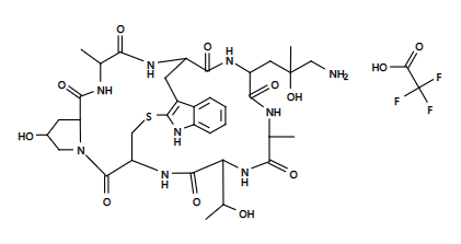 AAT Bioquest-Phalloidin Amine荧光标记正在火热抢购中