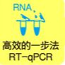 QD  One Step RT- PCR PreMix（探针法）（单管型）UNG/dUTP