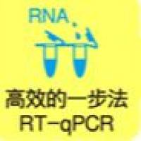 QD  One Step RT- PCR PreMix（探针法）（单管型）UNG/dUTP