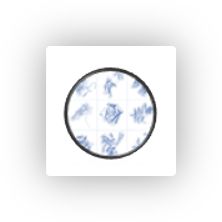 PhIP-Seq PhIPSeq自身免疫抗原表位