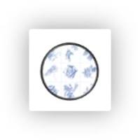 PhIP-Seq PhIPSeq自身免疫抗原表位