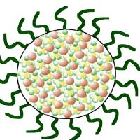 包载阿霉素的磷脂聚乙二醇(DSPE-PEG)胶束被狂 犬 病 毒糖蛋白RVG修饰
