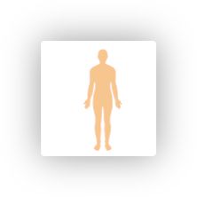 PhIP-Seq PhIPSeq自身抗体谱研究