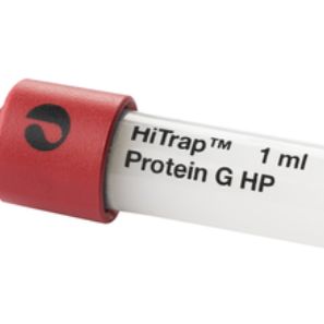HiTrap Protein G 柱
