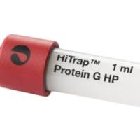 HiTrap Protein G 柱