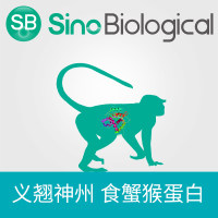 DPEP1重组蛋白|Recombinant Cynomolgus DPEP1 Protein (His & AVI Tag), Biotinylated