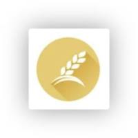 PhIP-Seq PhIPSeq过敏原抗体谱研究