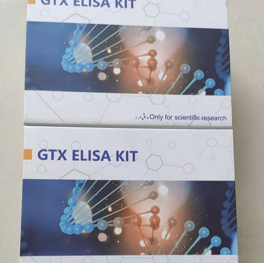 Bacillus coagulans BC01凝结芽孢杆菌BC01探针法荧光定量PCR试剂盒