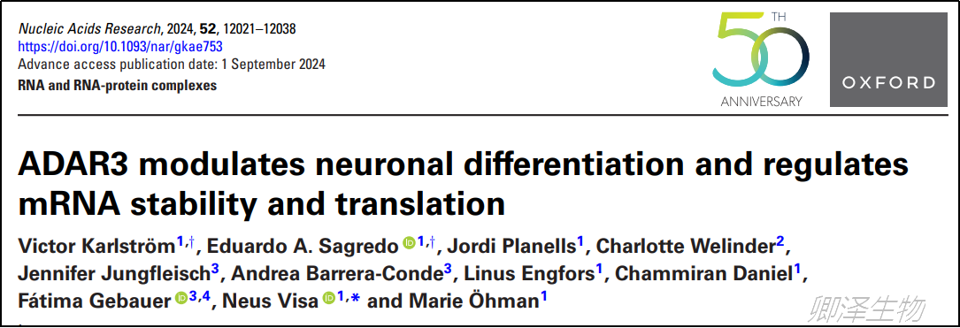 Nucleic Acids Res. | Polysome技术助力揭示ADAR3调节mRNA的稳定性和翻译的新机制