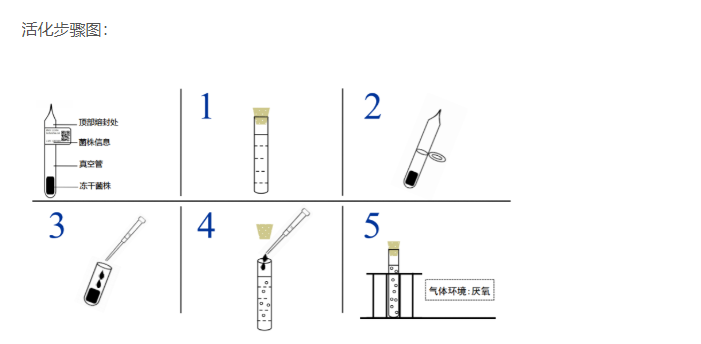 厌氧消化链球菌説明书