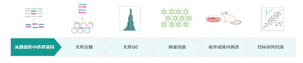 产品细节图片2