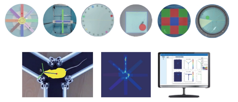 江苏赛昂斯生物科技有限公司 江苏赛昂斯生物科技有限公司