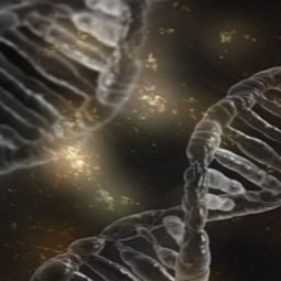 DNA/RNA结合蛋白鉴定