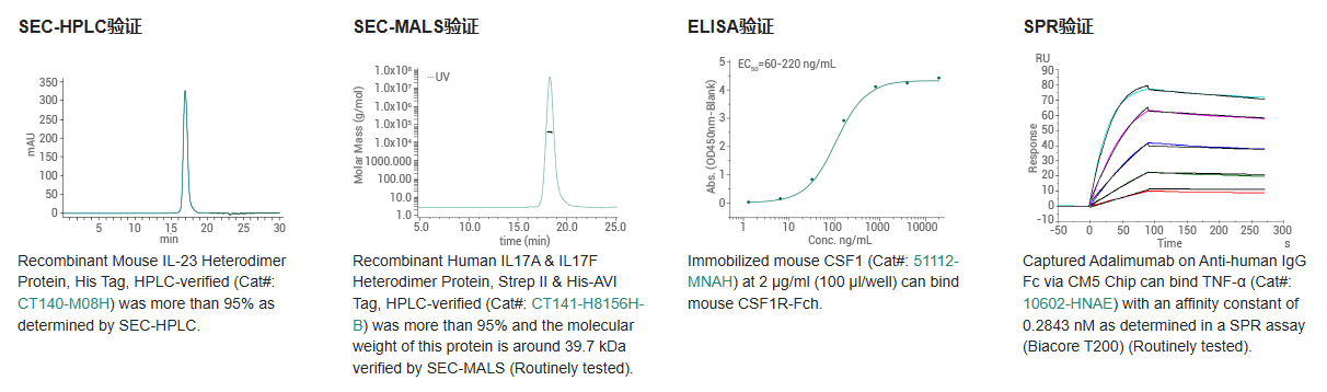 让细胞培养变得简单高效：义翘神州细胞因子