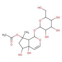 乙酰哈巴苷|6926-14-3|Acetylharpagide&8-O-Acetylharpagide