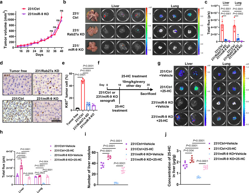 外泌体技术服务