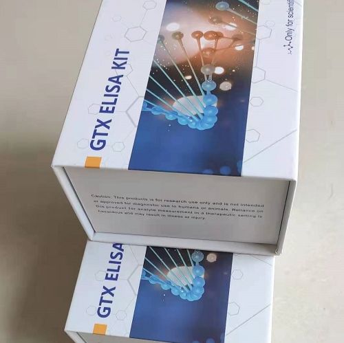 三聚氰胺去除柱