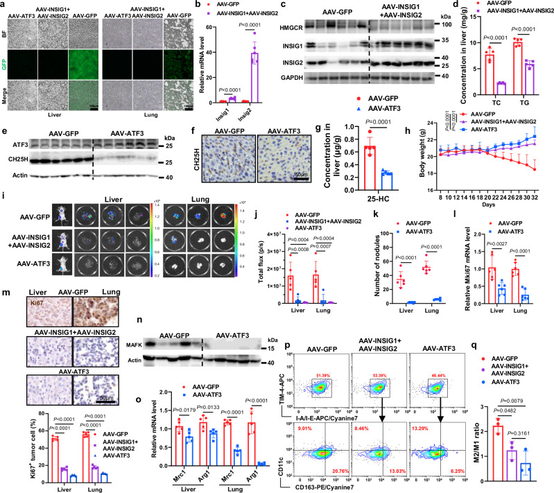 外泌体技术服务
