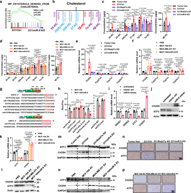 外泌体技术服务