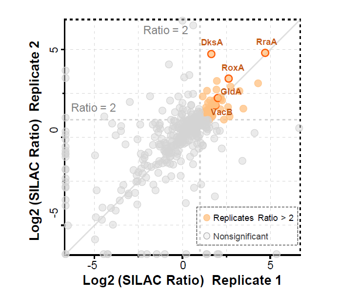 蛋白-蛋白相互作用检测