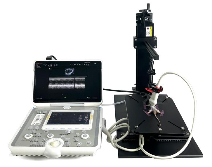 小鼠超声测量台,大鼠超声测量平台