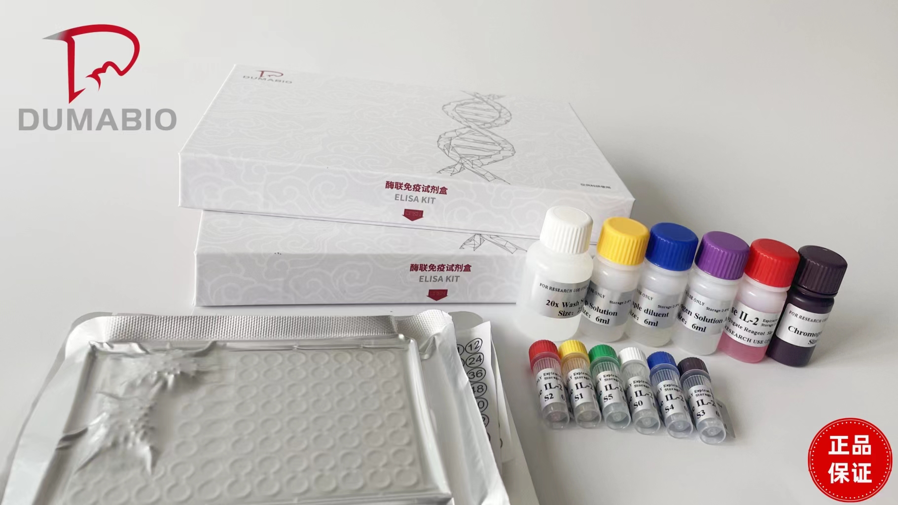 Junin Virus(JUNV)鸠 宁病毒探针法荧光定量