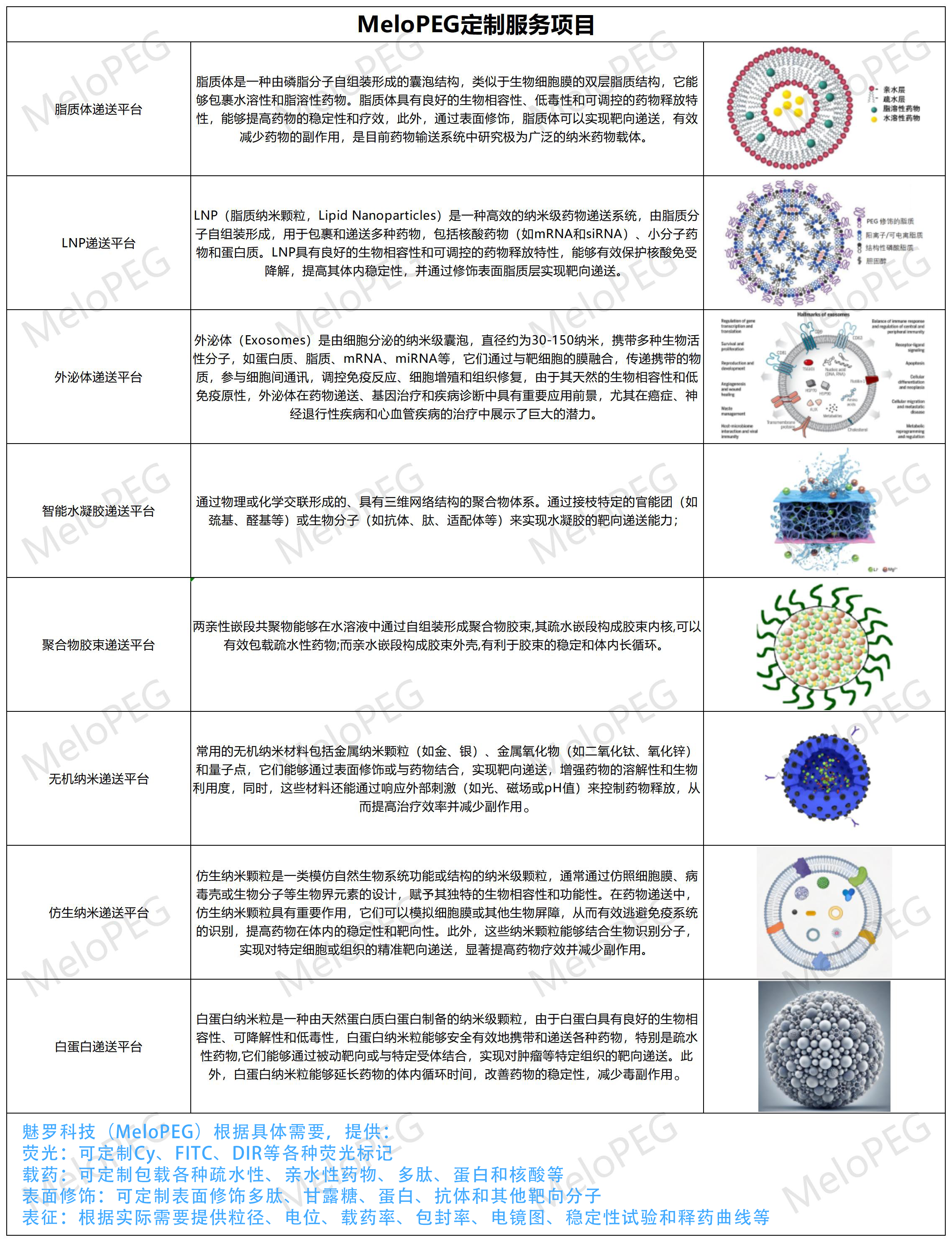 白/红/血小板/干/巨噬/肿瘤细胞膜负载脂质体（PLGA纳米