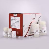 去内毒素质粒小量提取试剂盒