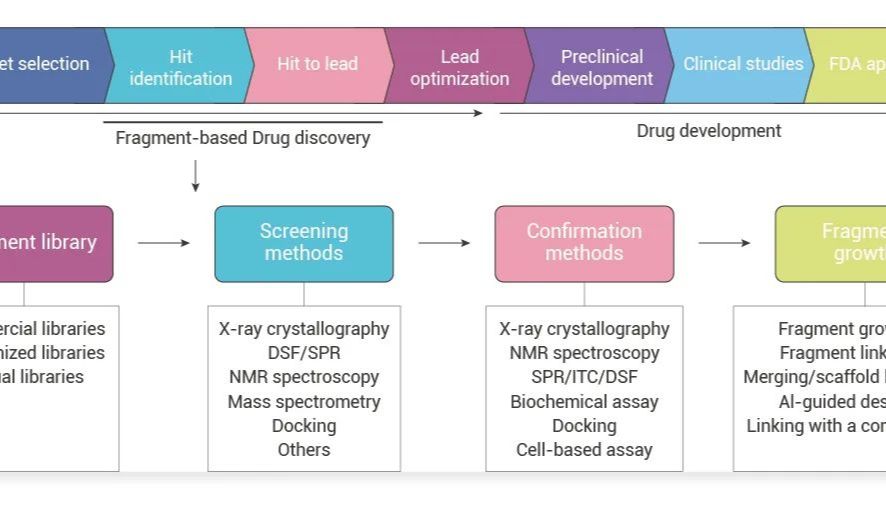 小片段，大能量? 一文搞懂什么是基于片段的药物开发！——MCE 