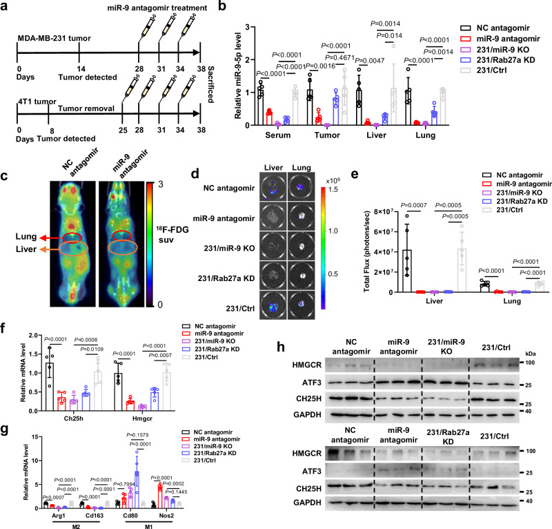 外泌体技术服务
