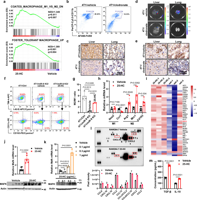 外泌体技术服务